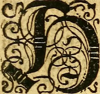 An illustration from Gottorffische Kunst-Kammer : worinnen allerhand ungemeine Sachen, so theils die Natur, theils künstliche Hände hervor gebracht und bereitet : vor diesem aus allen vier Theilen der Welt zusammen getragen, und vor einigen Jahren beschrieben, auch mit behörigen Kupffern gezieret, 1674, leaf 26