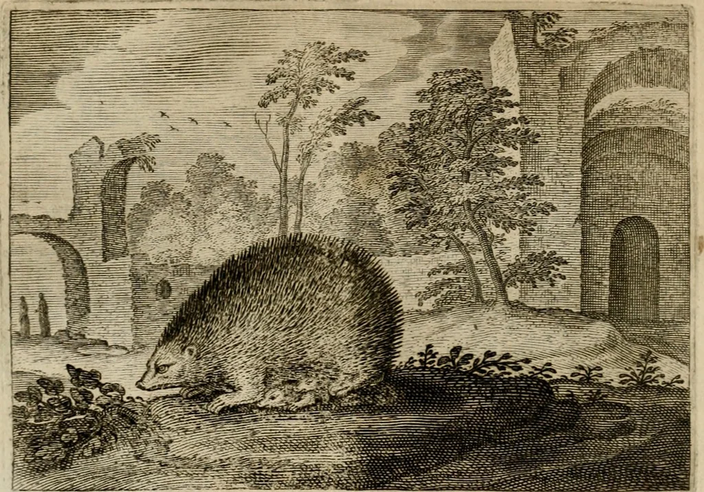 An illustration from Emblemata Florentii Schoonhovii I.C. Goudani, partim moralia, partim etiam civilia. Cum latiori eorundem ejusdem auctoris interpretatione. Accedunt et alia quaedam poëmatia in alijs poëmatum suorum libris non contenta, 1618, leaf 101