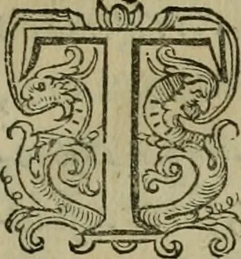 An illustration from Emblemata Florentii Schoonhovii I.C. Goudani, partim moralia, partim etiam civilia. Cum latiori eorundem ejusdem auctoris interpretatione. Accedunt et alia quaedam poëmatia in alijs poëmatum suorum libris non contenta, 1618, leaf 12