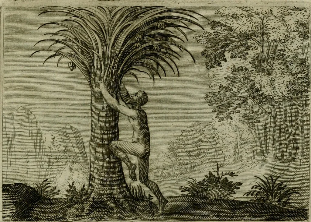 An illustration from Emblemata Florentii Schoonhovii I.C. Goudani, partim moralia, partim etiam civilia. Cum latiori eorundem ejusdem auctoris interpretatione. Accedunt et alia quaedam poëmatia in alijs poëmatum suorum libris non contenta, 1618, leaf 234