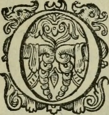 An illustration from Emblemata Florentii Schoonhovii I.C. Goudani, partim moralia, partim etiam civilia. Cum latiori eorundem ejusdem auctoris interpretatione. Accedunt et alia quaedam poëmatia in alijs poëmatum suorum libris non contenta, 1618, leaf 240