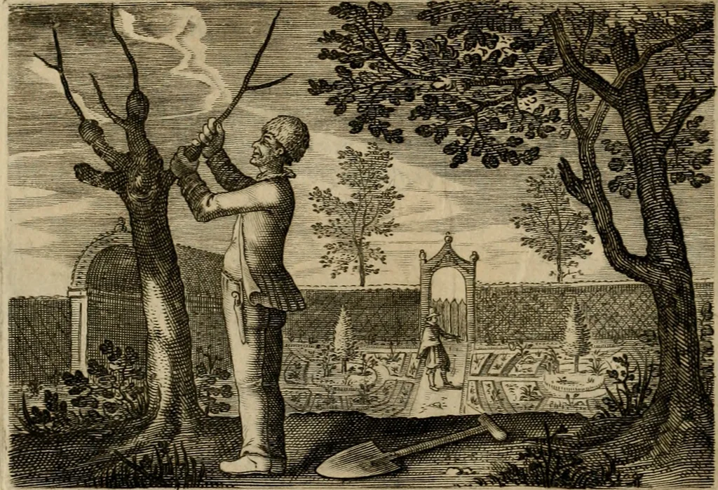 An illustration from Emblemata Florentii Schoonhovii I.C. Goudani, partim moralia, partim etiam civilia. Cum latiori eorundem ejusdem auctoris interpretatione. Accedunt et alia quaedam poëmatia in alijs poëmatum suorum libris non contenta, 1618, leaf 89