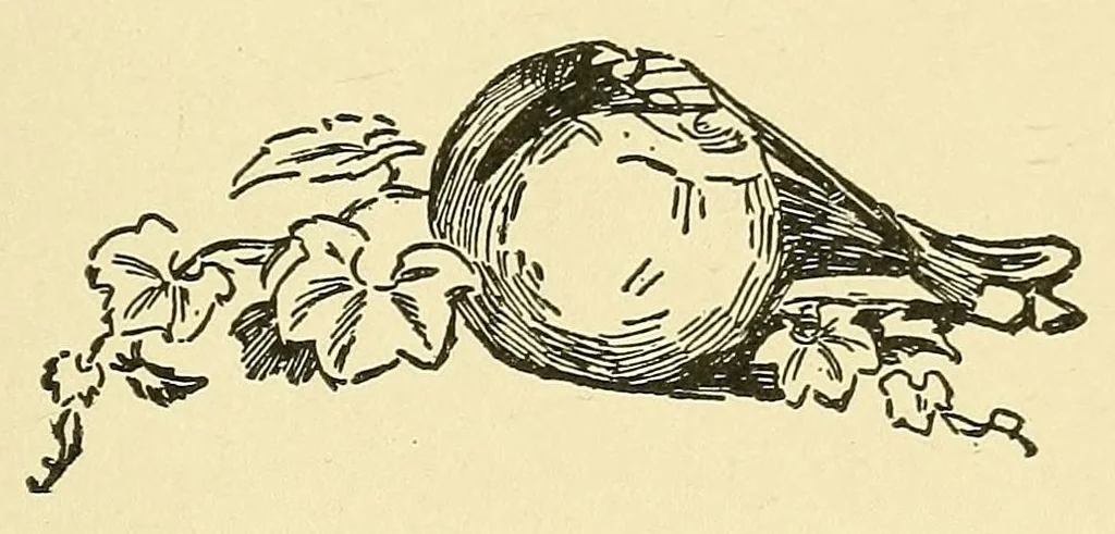 An illustration from A gourd fiddle, 1904, leaf 43