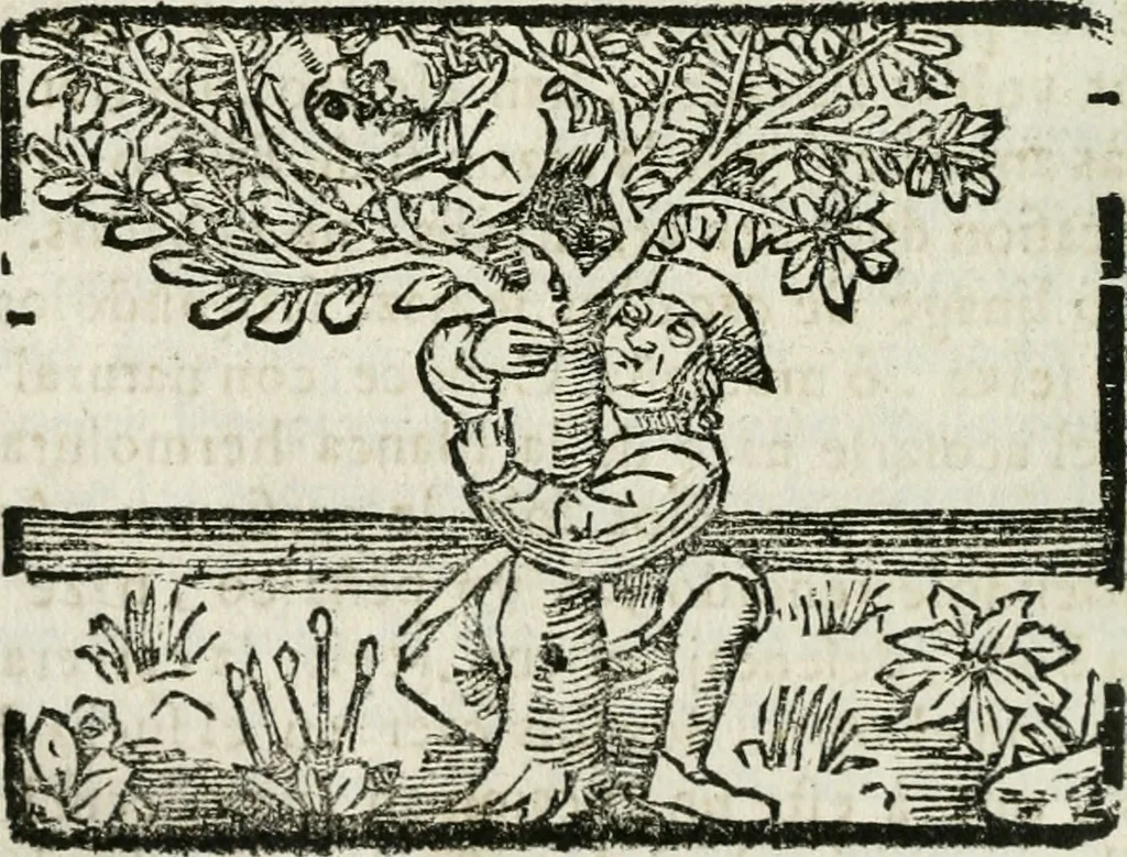 An illustration from Govierno general, moral, y politico : hallado en las fieras, y animales sylvestres : sacado de sus naturales virtudes, y propiedades, con particular tabla para sermones varios de tiempo, y de Santos, 1696, leaf 121