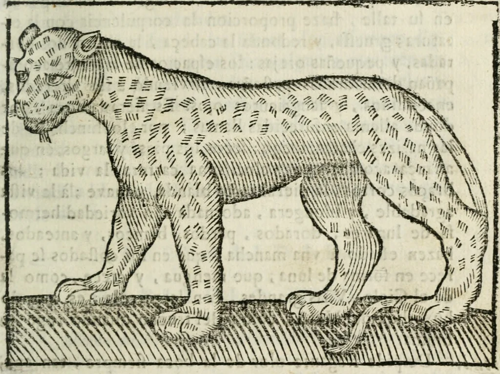 An illustration from Govierno general, moral, y politico : hallado en las fieras, y animales sylvestres : sacado de sus naturales virtudes, y propiedades, con particular tabla para sermones varios de tiempo, y de Santos, 1696, leaf 180