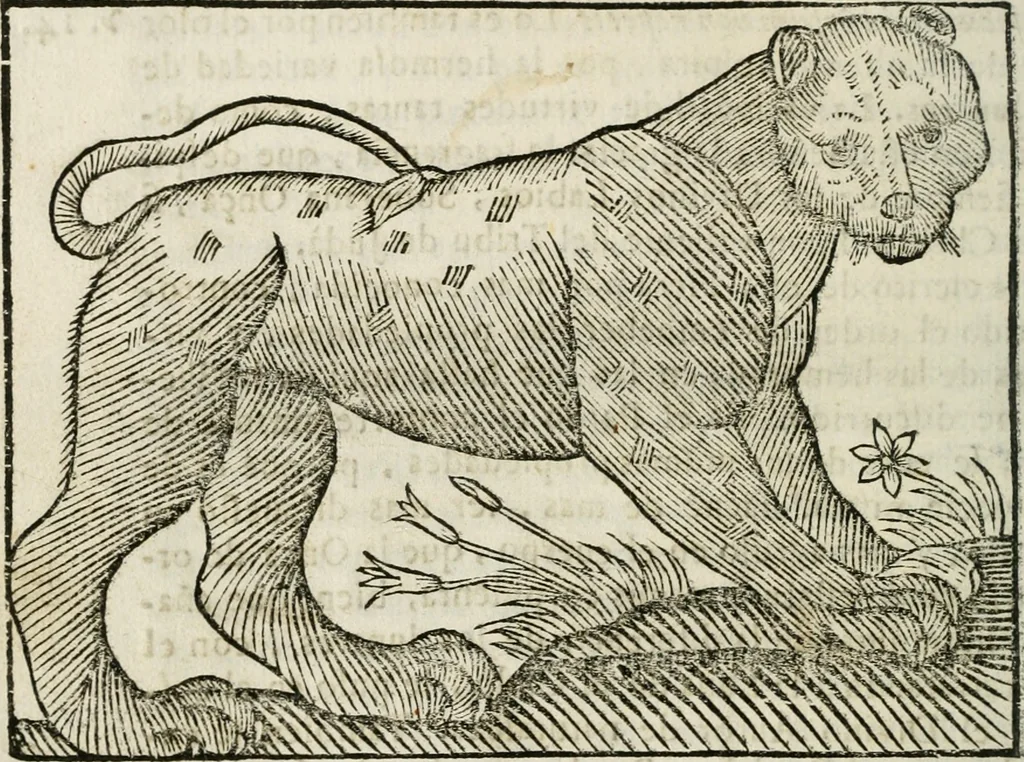An illustration from Govierno general, moral, y politico : hallado en las fieras, y animales sylvestres : sacado de sus naturales virtudes, y propiedades, con particular tabla para sermones varios de tiempo, y de Santos, 1696, leaf 199