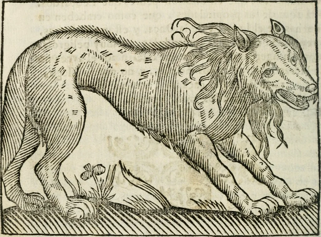 An illustration from Govierno general, moral, y politico : hallado en las fieras, y animales sylvestres : sacado de sus naturales virtudes, y propiedades, con particular tabla para sermones varios de tiempo, y de Santos, 1696, leaf 211