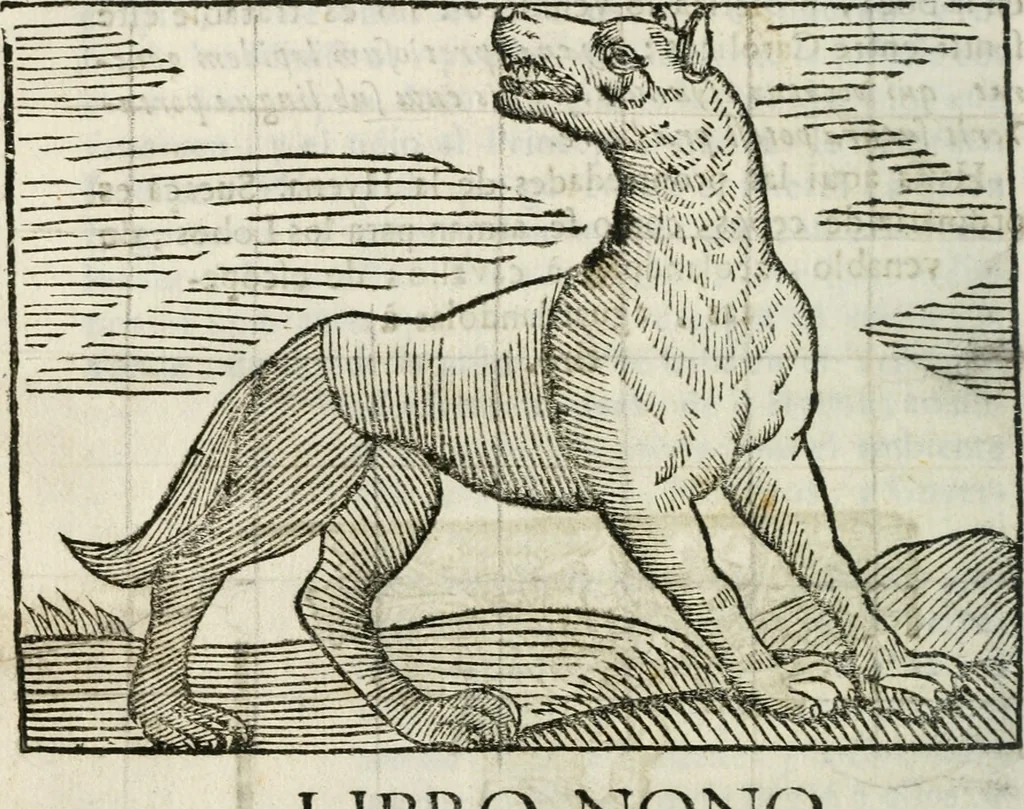 An illustration from Govierno general, moral, y politico : hallado en las fieras, y animales sylvestres : sacado de sus naturales virtudes, y propiedades, con particular tabla para sermones varios de tiempo, y de Santos, 1696, leaf 227
