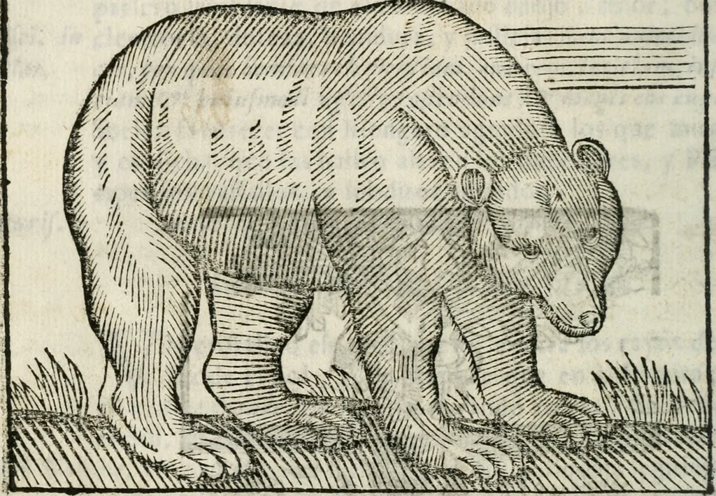 An illustration from Govierno general, moral, y politico : hallado en las fieras, y animales sylvestres : sacado de sus naturales virtudes, y propiedades, con particular tabla para sermones varios de tiempo, y de Santos, 1696, leaf 261