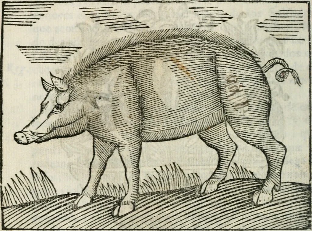 An illustration from Govierno general, moral, y politico : hallado en las fieras, y animales sylvestres : sacado de sus naturales virtudes, y propiedades, con particular tabla para sermones varios de tiempo, y de Santos, 1696, leaf 293