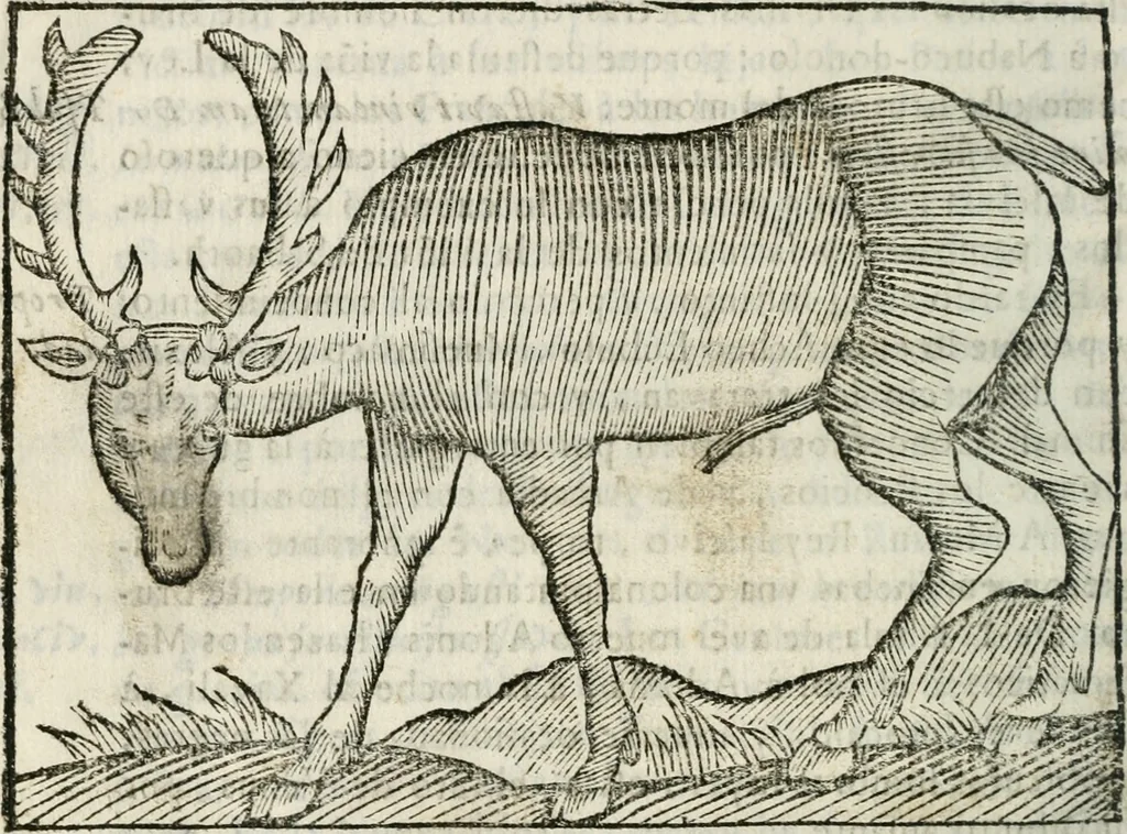 An illustration from Govierno general, moral, y politico : hallado en las fieras, y animales sylvestres : sacado de sus naturales virtudes, y propiedades, con particular tabla para sermones varios de tiempo, y de Santos, 1696, leaf 307