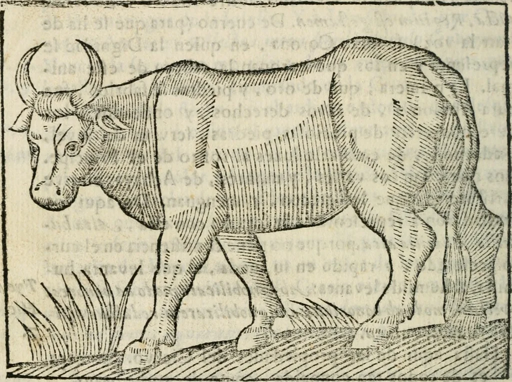 An illustration from Govierno general, moral, y politico : hallado en las fieras, y animales sylvestres : sacado de sus naturales virtudes, y propiedades, con particular tabla para sermones varios de tiempo, y de Santos, 1696, leaf 325