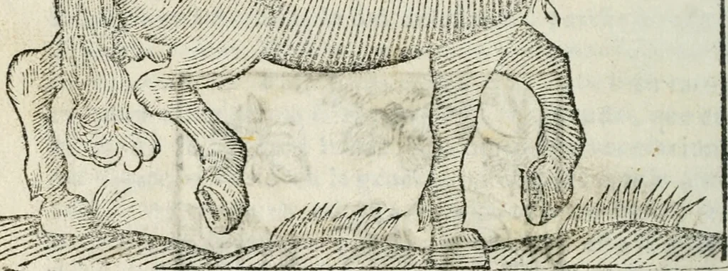 An illustration from Govierno general, moral, y politico : hallado en las fieras, y animales sylvestres : sacado de sus naturales virtudes, y propiedades, con particular tabla para sermones varios de tiempo, y de Santos, 1696, leaf 353