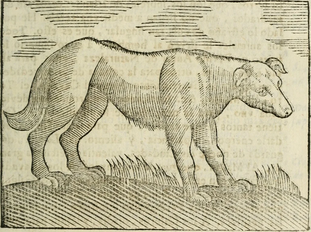 An illustration from Govierno general, moral, y politico : hallado en las fieras, y animales sylvestres : sacado de sus naturales virtudes, y propiedades, con particular tabla para sermones varios de tiempo, y de Santos, 1696, leaf 370