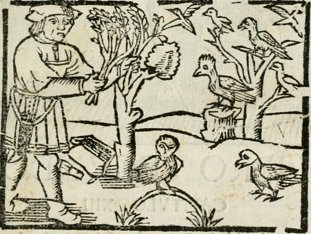 An illustration from Govierno general, moral, y politico : hallado en las fieras, y animales sylvestres : sacado de sus naturales virtudes, y propiedades, con particular tabla para sermones varios de tiempo, y de Santos, 1696, leaf 72