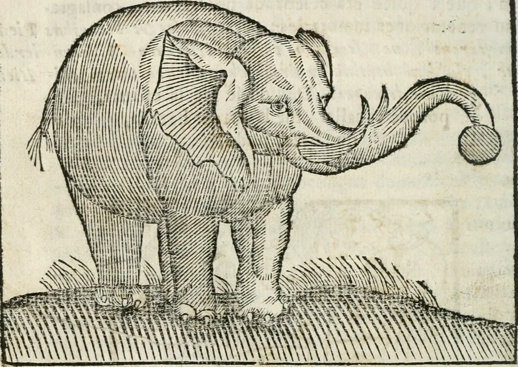 An illustration from Govierno general, moral, y politico : hallado en las fieras, y animales sylvestres : sacado de sus naturales virtudes, y propiedades, con particular tabla para sermones varios de tiempo, y de Santos, 1696, leaf 73