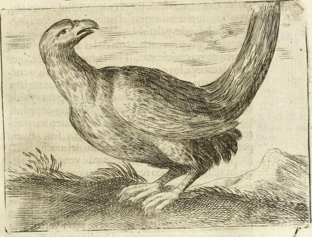 An illustration from Govierno general, moral, y politico : hallado en las aves mas generosas y nobles : sacado de sus naturales virtudes y propiedades, 1683, leaf 110