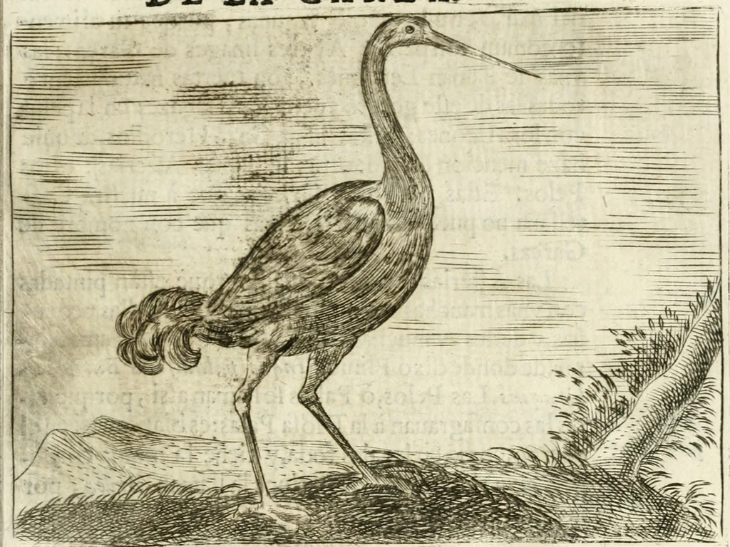 An illustration from Govierno general, moral, y politico : hallado en las aves mas generosas y nobles : sacado de sus naturales virtudes y propiedades, 1683, leaf 186
