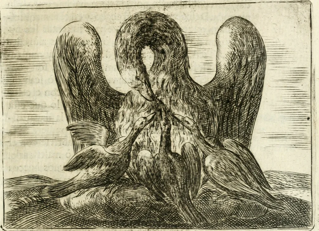 An illustration from Govierno general, moral, y politico : hallado en las aves mas generosas y nobles : sacado de sus naturales virtudes y propiedades, 1683, leaf 242