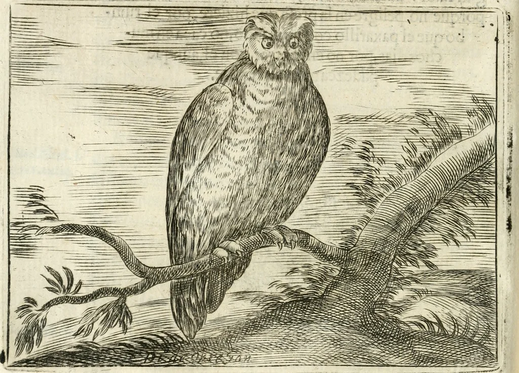 An illustration from Govierno general, moral, y politico : hallado en las aves mas generosas y nobles : sacado de sus naturales virtudes y propiedades, 1683, leaf 295