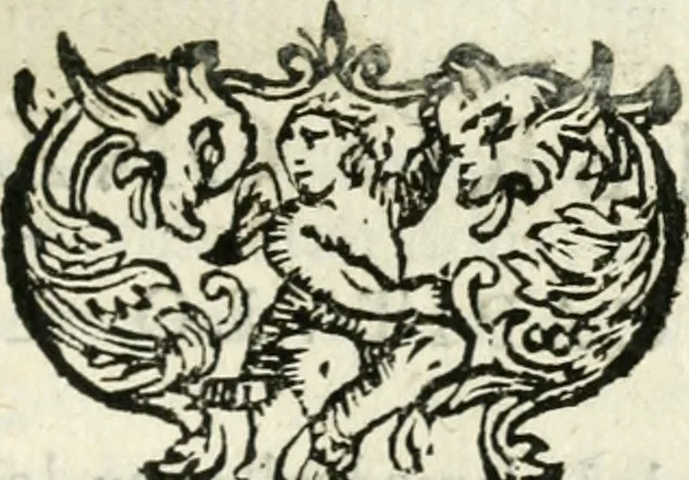 An illustration from Govierno general, moral, y politico : hallado en las aves mas generosas y nobles : sacado de sus naturales virtudes y propiedades, 1683, leaf 306