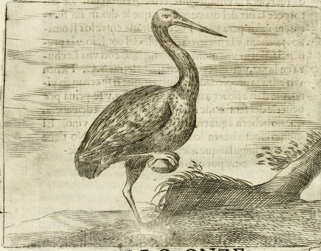An illustration from Govierno general, moral, y politico : hallado en las aves mas generosas y nobles : sacado de sus naturales virtudes y propiedades, 1683, leaf 307