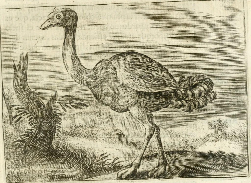 An illustration from Govierno general, moral, y politico : hallado en las aves mas generosas y nobles : sacado de sus naturales virtudes y propiedades, 1683, leaf 352