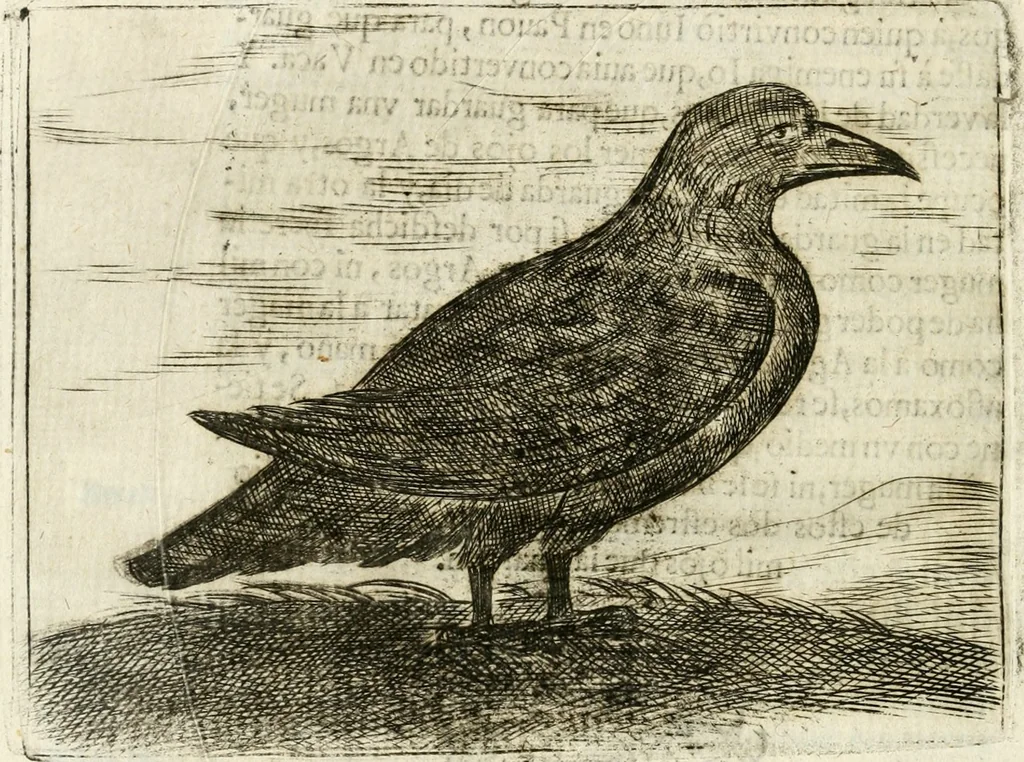 An illustration from Govierno general, moral, y politico : hallado en las aves mas generosas y nobles : sacado de sus naturales virtudes y propiedades, 1683, leaf 385
