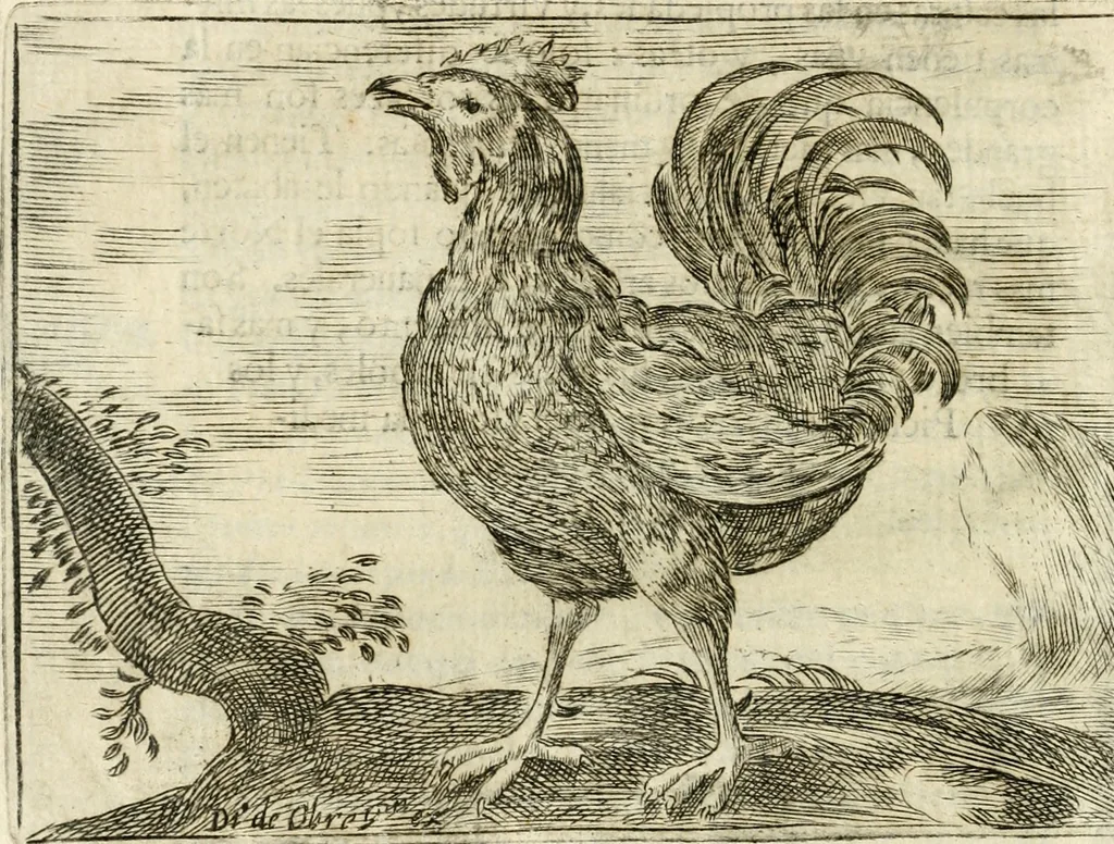 An illustration from Govierno general, moral, y politico : hallado en las aves mas generosas y nobles : sacado de sus naturales virtudes y propiedades, 1683, leaf 431