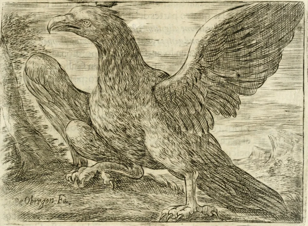 An illustration from Govierno general, moral, y politico : hallado en las aves mas generosas y nobles : sacado de sus naturales virtudes y propiedades, 1683, leaf 44