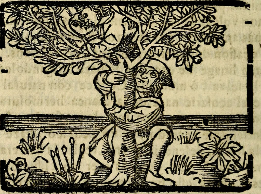 An illustration from Govierno general, moral, y politico. Hallado en las aves mas generosas, y nobles. Sacado de sus naturales virtudes, y propriedades. Añadido en esta vltima impression en diferentes partes: y el libro diez y nueve de las aves monstruosas, 1696, leaf 121