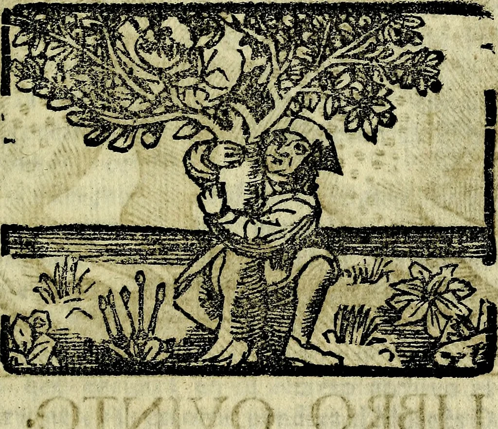 An illustration from Govierno general, moral, y politico. Hallado en las aves mas generosas, y nobles. Sacado de sus naturales virtudes, y propriedades. Añadido en esta vltima impression en diferentes partes: y el libro diez y nueve de las aves monstruosas, 1696, leaf 168