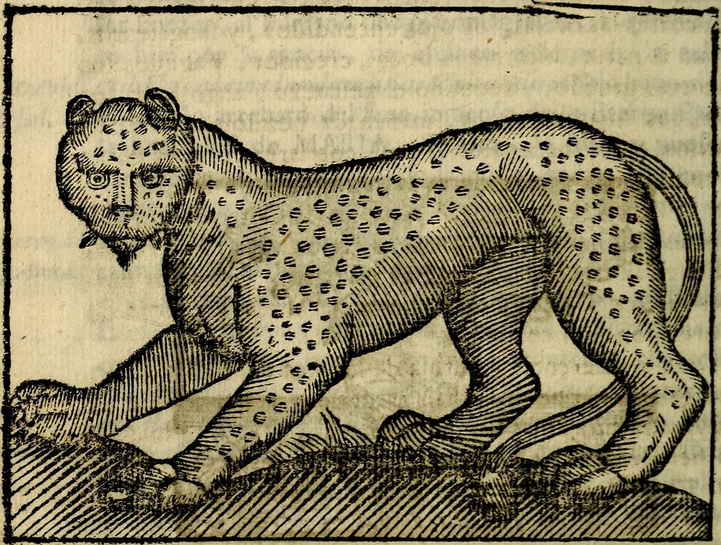 An illustration from Govierno general, moral, y politico. Hallado en las aves mas generosas, y nobles. Sacado de sus naturales virtudes, y propriedades. Añadido en esta vltima impression en diferentes partes: y el libro diez y nueve de las aves monstruosas, 1696, leaf 169