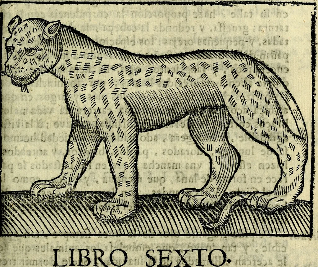 An illustration from Govierno general, moral, y politico. Hallado en las aves mas generosas, y nobles. Sacado de sus naturales virtudes, y propriedades. Añadido en esta vltima impression en diferentes partes: y el libro diez y nueve de las aves monstruosas, 1696, leaf 180