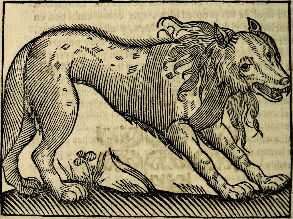 An illustration from Govierno general, moral, y politico. Hallado en las aves mas generosas, y nobles. Sacado de sus naturales virtudes, y propriedades. Añadido en esta vltima impression en diferentes partes: y el libro diez y nueve de las aves monstruosas, 1696, leaf 211