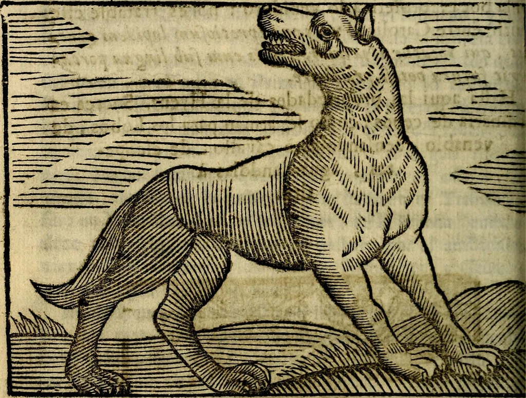 An illustration from Govierno general, moral, y politico. Hallado en las aves mas generosas, y nobles. Sacado de sus naturales virtudes, y propriedades. Añadido en esta vltima impression en diferentes partes: y el libro diez y nueve de las aves monstruosas, 1696, leaf 227