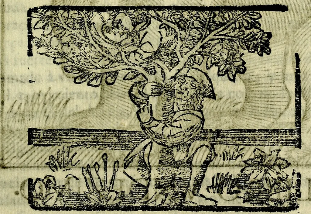 An illustration from Govierno general, moral, y politico. Hallado en las aves mas generosas, y nobles. Sacado de sus naturales virtudes, y propriedades. Añadido en esta vltima impression en diferentes partes: y el libro diez y nueve de las aves monstruosas, 1696, leaf 260
