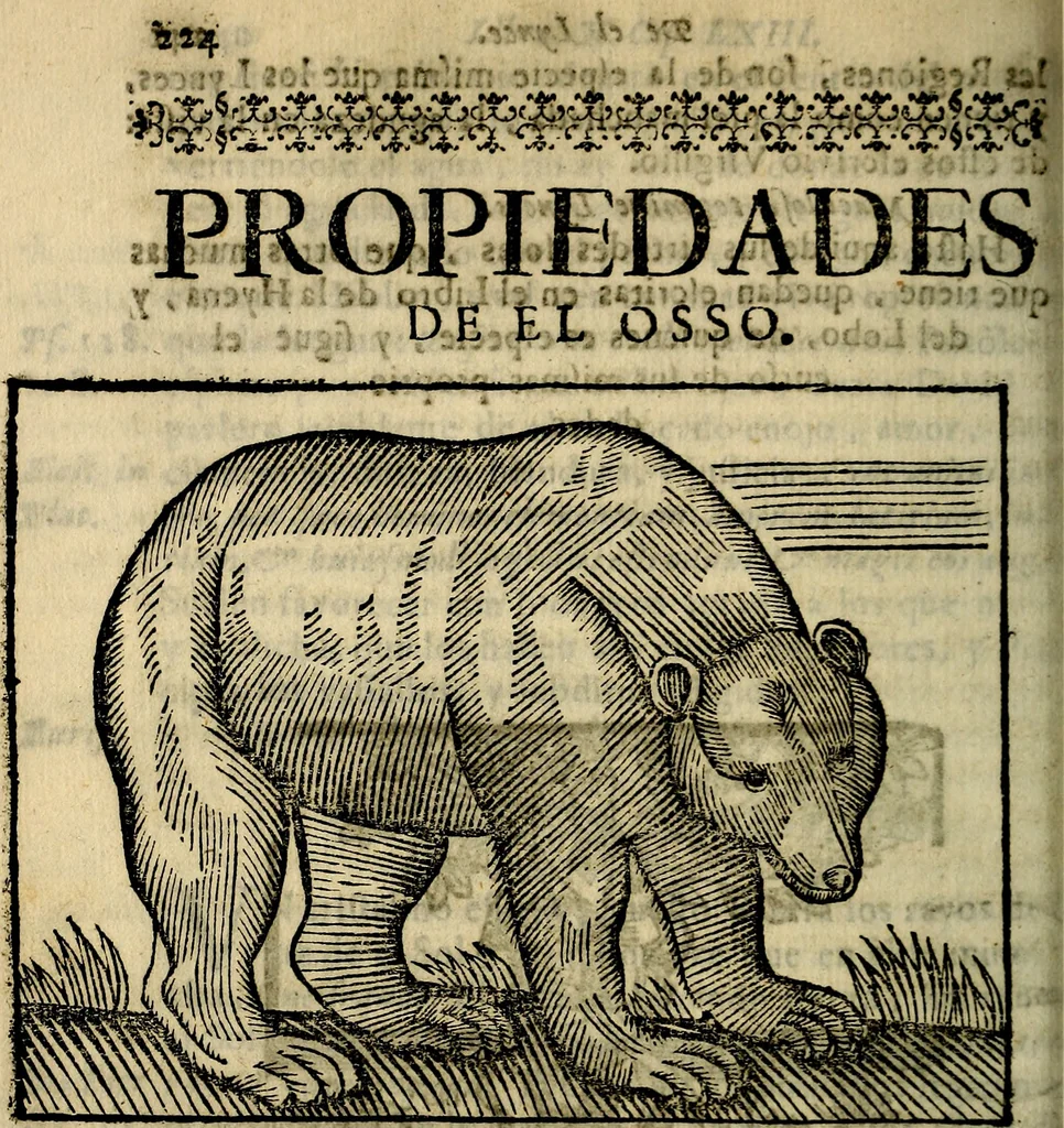 An illustration from Govierno general, moral, y politico. Hallado en las aves mas generosas, y nobles. Sacado de sus naturales virtudes, y propriedades. Añadido en esta vltima impression en diferentes partes: y el libro diez y nueve de las aves monstruosas, 1696, leaf 261