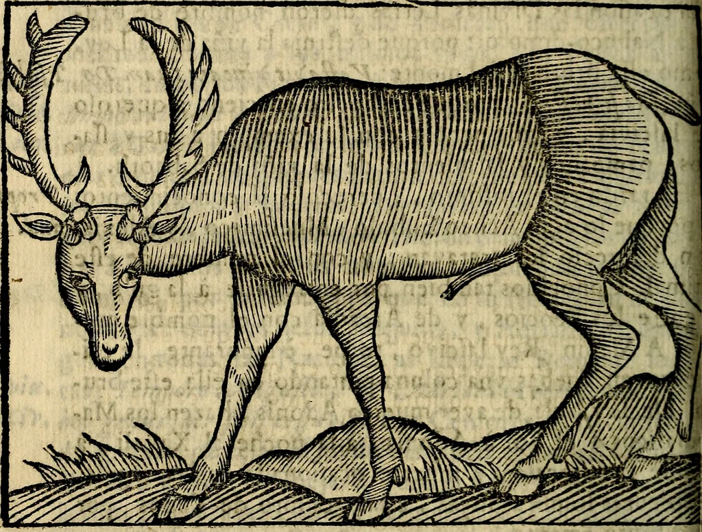 An illustration from Govierno general, moral, y politico. Hallado en las aves mas generosas, y nobles. Sacado de sus naturales virtudes, y propriedades. Añadido en esta vltima impression en diferentes partes: y el libro diez y nueve de las aves monstruosas, 1696, leaf 307