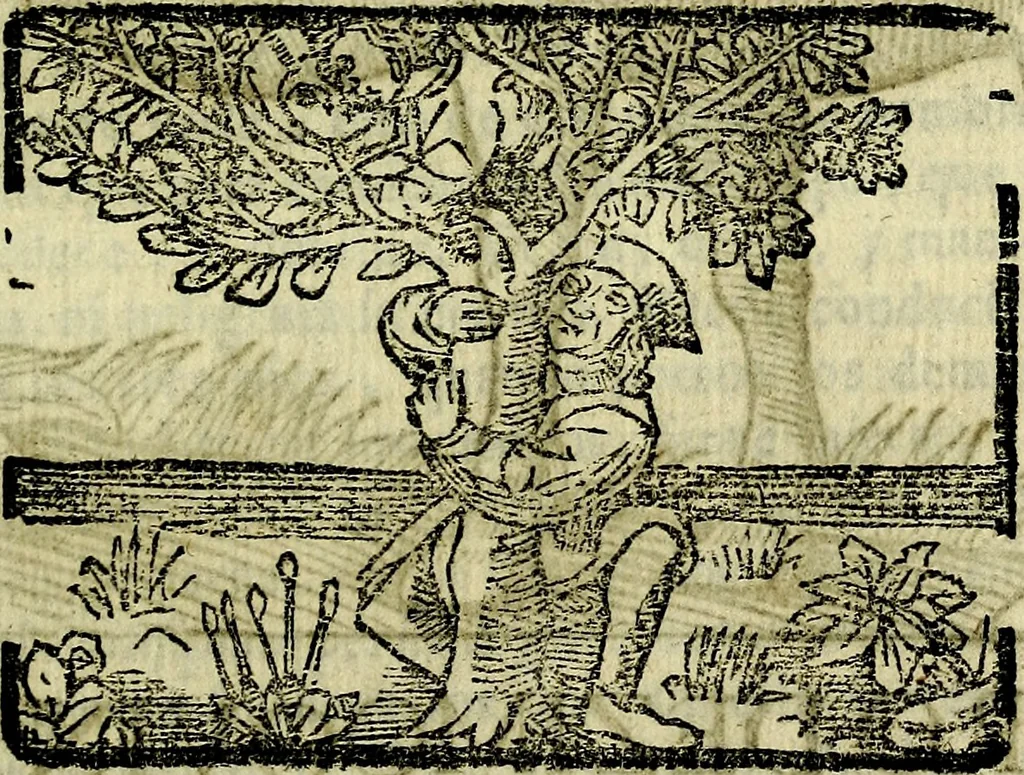 An illustration from Govierno general, moral, y politico. Hallado en las aves mas generosas, y nobles. Sacado de sus naturales virtudes, y propriedades. Añadido en esta vltima impression en diferentes partes: y el libro diez y nueve de las aves monstruosas, 1696, leaf 338