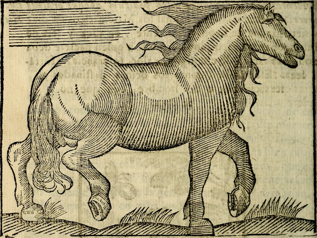 An illustration from Govierno general, moral, y politico. Hallado en las aves mas generosas, y nobles. Sacado de sus naturales virtudes, y propriedades. Añadido en esta vltima impression en diferentes partes: y el libro diez y nueve de las aves monstruosas, 1696, leaf 353