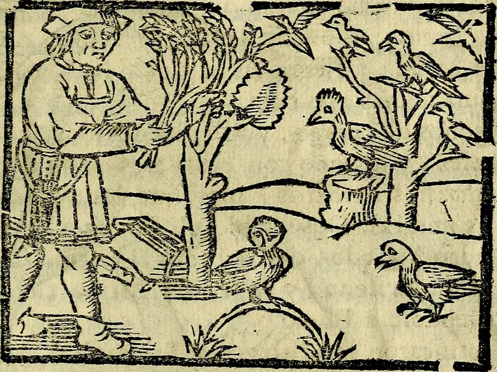 An illustration from Govierno general, moral, y politico. Hallado en las aves mas generosas, y nobles. Sacado de sus naturales virtudes, y propriedades. Añadido en esta vltima impression en diferentes partes: y el libro diez y nueve de las aves monstruosas, 1696, leaf 390
