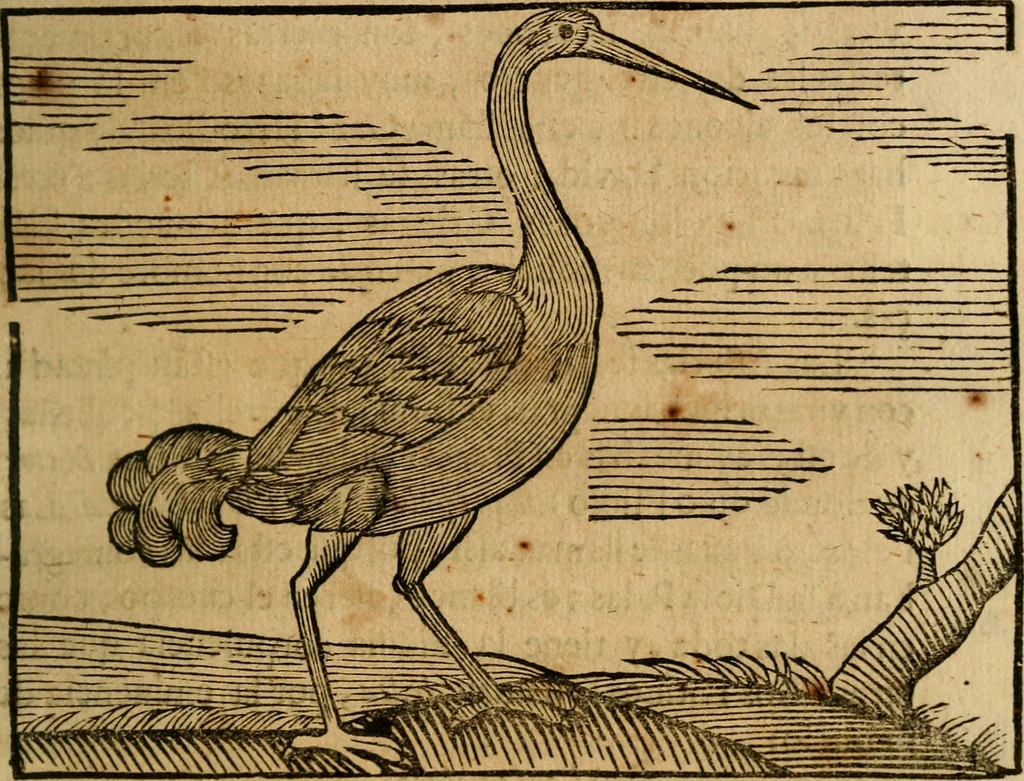 An illustration from Govierno general, moral, y politico. : Hallado en las aves mas generosas, y nobles. Sacado de sus naturales virtudes, y propriedades. Con qvarto tablas diferentes; es la vna para sermones varios de tiempo, y de Santos., 1696, leaf 162