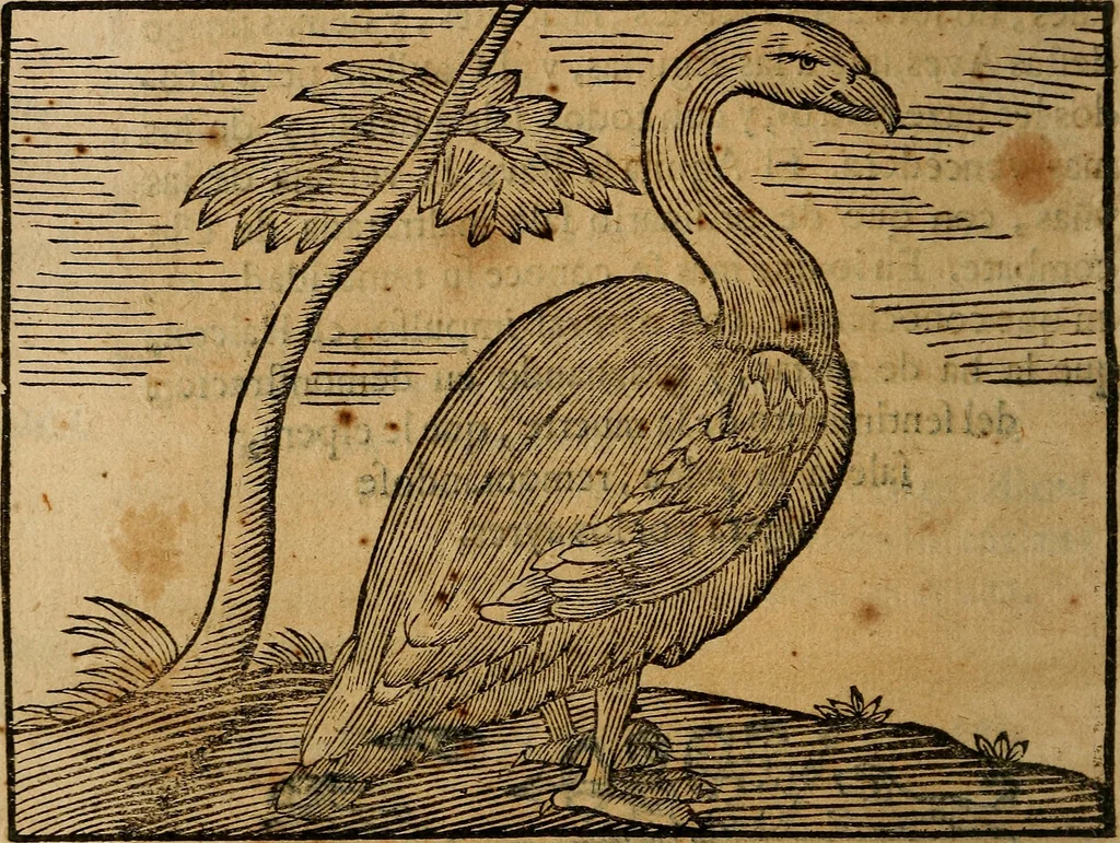 An illustration from Govierno general, moral, y politico. : Hallado en las aves mas generosas, y nobles. Sacado de sus naturales virtudes, y propriedades. Con qvarto tablas diferentes; es la vna para sermones varios de tiempo, y de Santos., 1696, leaf 177