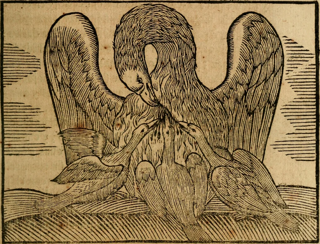 An illustration from Govierno general, moral, y politico. : Hallado en las aves mas generosas, y nobles. Sacado de sus naturales virtudes, y propriedades. Con qvarto tablas diferentes; es la vna para sermones varios de tiempo, y de Santos., 1696, leaf 218