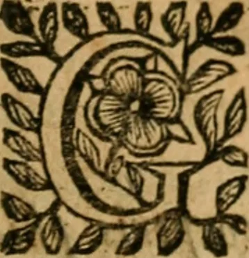 An illustration from Govierno general, moral, y politico. : Hallado en las aves mas generosas, y nobles. Sacado de sus naturales virtudes, y propriedades. Con qvarto tablas diferentes; es la vna para sermones varios de tiempo, y de Santos., 1696, leaf 242