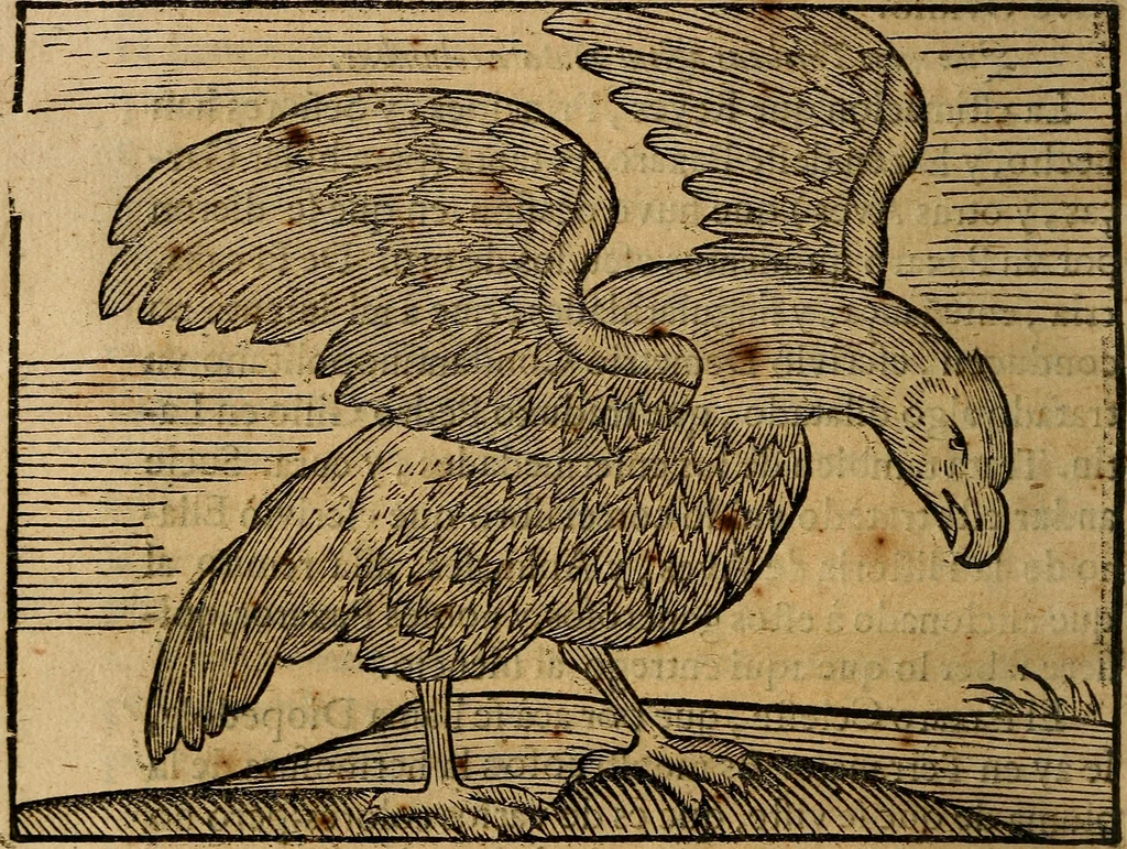 An illustration from Govierno general, moral, y politico. : Hallado en las aves mas generosas, y nobles. Sacado de sus naturales virtudes, y propriedades. Con qvarto tablas diferentes; es la vna para sermones varios de tiempo, y de Santos., 1696, leaf 257