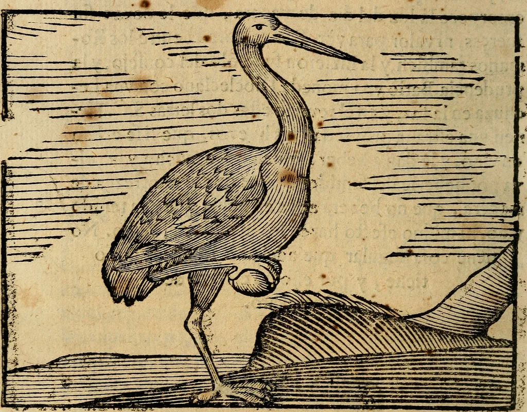 An illustration from Govierno general, moral, y politico. : Hallado en las aves mas generosas, y nobles. Sacado de sus naturales virtudes, y propriedades. Con qvarto tablas diferentes; es la vna para sermones varios de tiempo, y de Santos., 1696, leaf 283