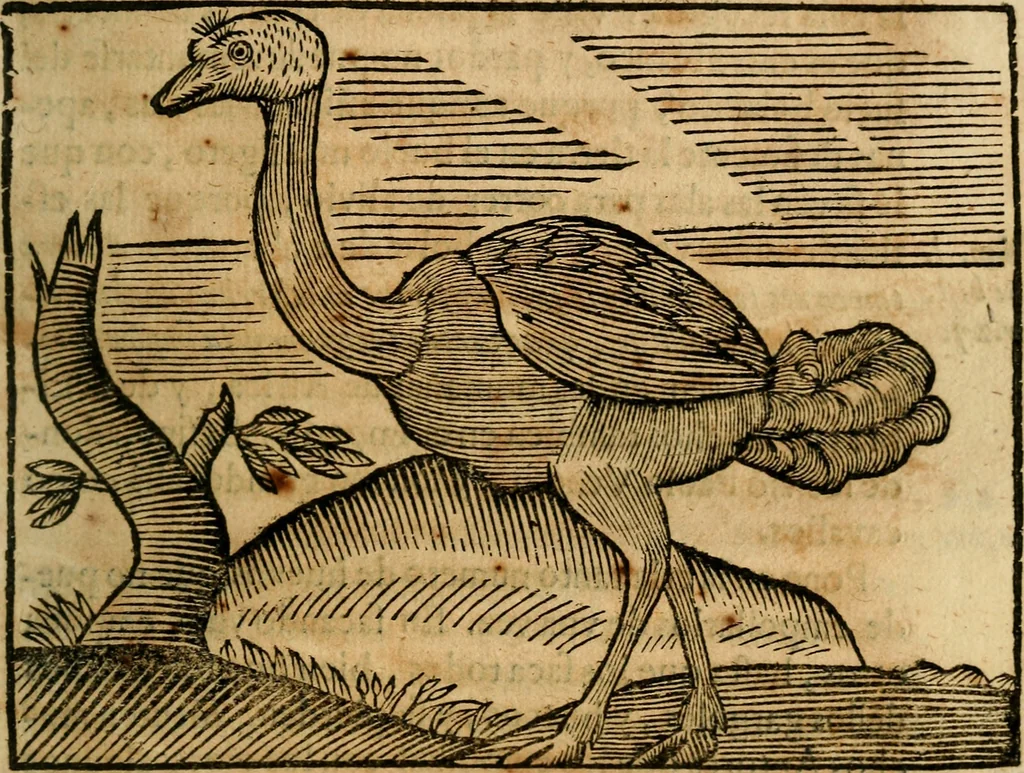 An illustration from Govierno general, moral, y politico. : Hallado en las aves mas generosas, y nobles. Sacado de sus naturales virtudes, y propriedades. Con qvarto tablas diferentes; es la vna para sermones varios de tiempo, y de Santos., 1696, leaf 328