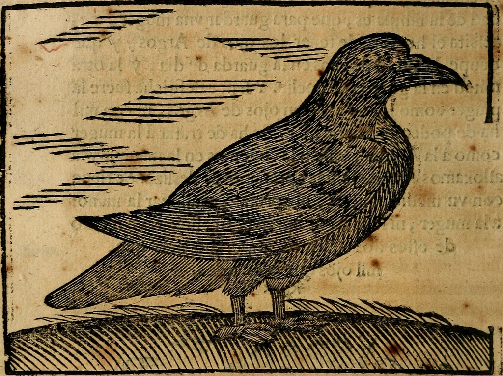 An illustration from Govierno general, moral, y politico. : Hallado en las aves mas generosas, y nobles. Sacado de sus naturales virtudes, y propriedades. Con qvarto tablas diferentes; es la vna para sermones varios de tiempo, y de Santos., 1696, leaf 361